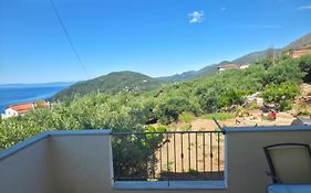 Olive Tree Apartments